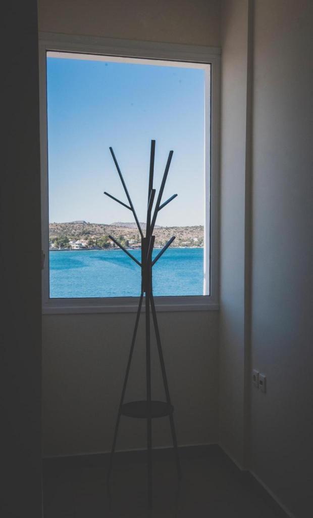 Mardel_seaside_selinia *